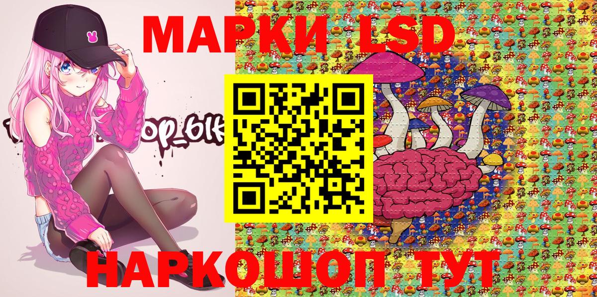 Галлюциногенные грибы Павлово