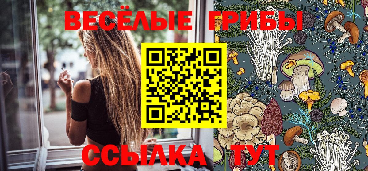 Галлюциногенные грибы GOLDEN TEACHER  Вход с VPN  Павлово 